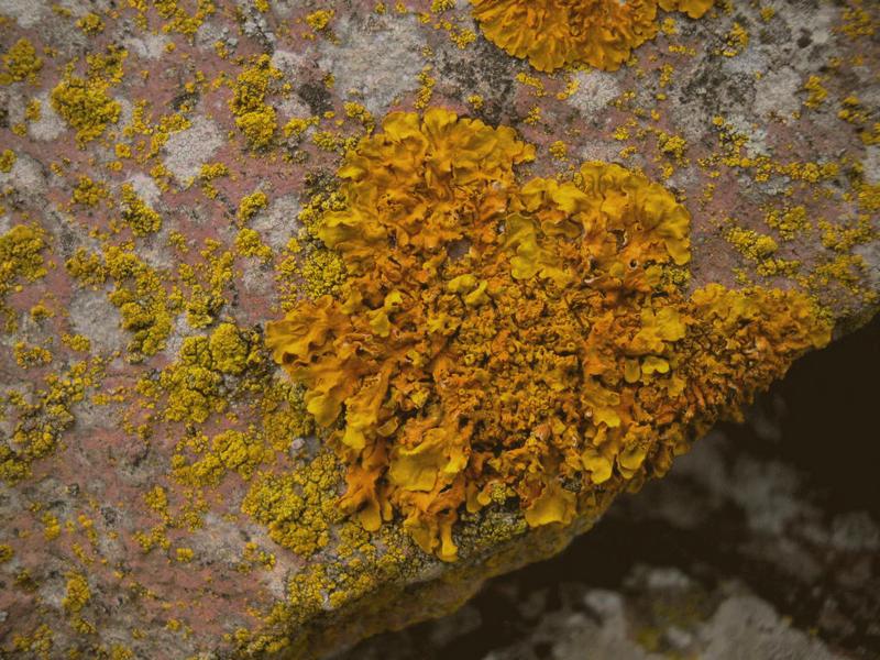 ...su muretto a secco...